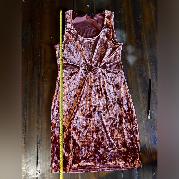 NWOT Derek Heart Cut Out Mini Velvet Dress - Picture 4 of 6